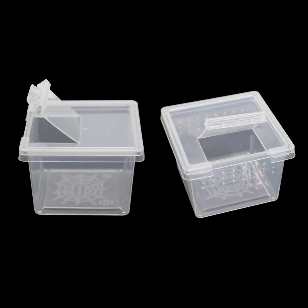 Mini Plastic Rearing Box (2-Pack) — Transparent Habitat for Spiders, Scorpions & Insects