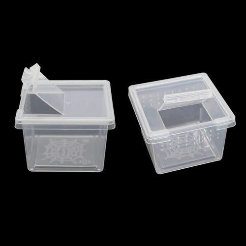Mini Plastic Rearing Box (2-Pack) — Transparent Habitat for Spiders, Scorpions & Insects