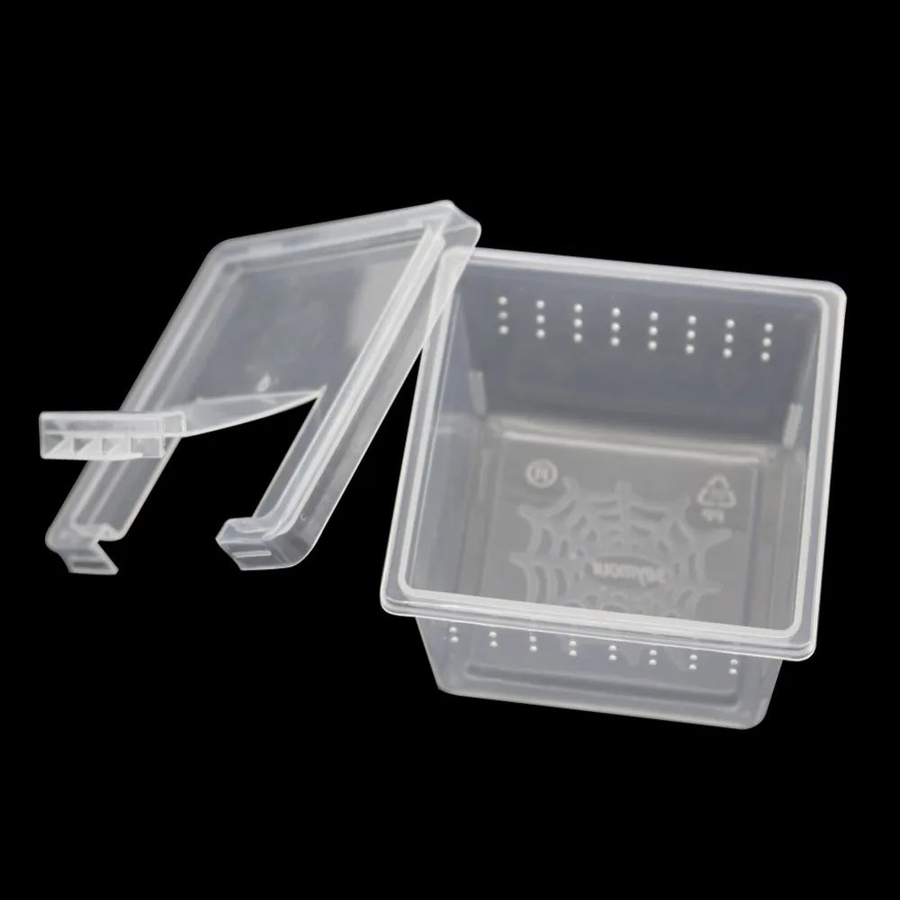 Mini Plastic Rearing Box (2-Pack) — Transparent Habitat for Spiders, Scorpions & Insects