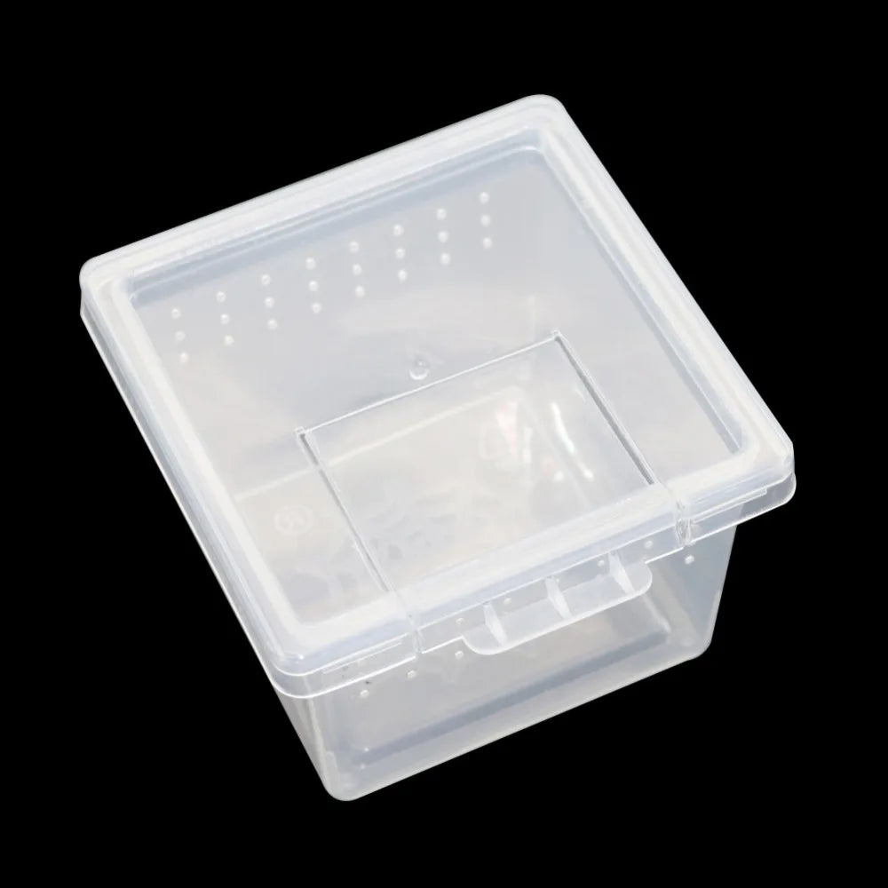 Mini Plastic Rearing Box (2-Pack) — Transparent Habitat for Spiders, Scorpions & Insects