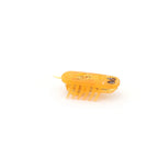 Electric Self-Running Cockroach Cat Toy — Detachable Battery Interactive Hunting Chase Toy