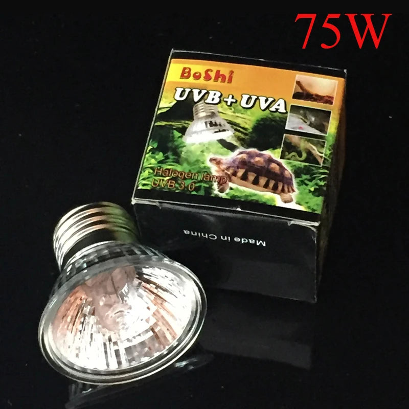 UVA+UVB 3.0 Basking Bulb — Full-Spectrum Heat Lamp for Reptiles