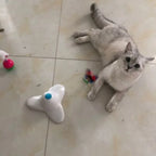 Electric Auto-Rotating Butterfly Toy — Fluttering Cat & Kitten Toy