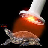 Far-Infrared Ceramic Heat Emitter — 220V Brooder & Reptile Bulb, 25W–200W