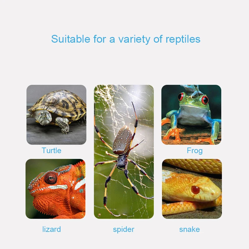 UVB Reptile Basking Lamp Kit — Clip-On E27 Holder for Turtles & Lizards