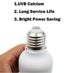 Reptile UVB 10.0 Desert Bulb — 13W Fluorescent Lamp with UVB Test Card
