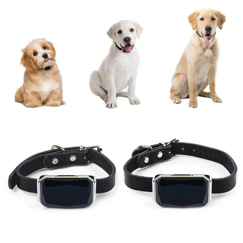 IP67 Waterproof WiFi & GPS Light Collar Tracker for Pets & Kids