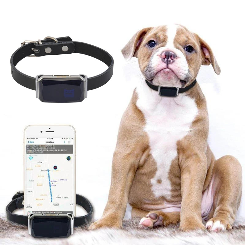 IP67 Waterproof WiFi & GPS Light Collar Tracker for Pets & Kids