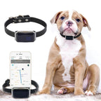 IP67 Waterproof WiFi & GPS Light Collar Tracker for Pets & Kids