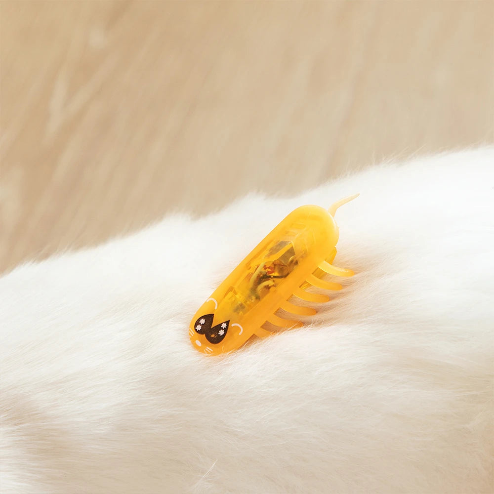 Electric Self-Running Cockroach Cat Toy — Detachable Battery Interactive Hunting Chase Toy