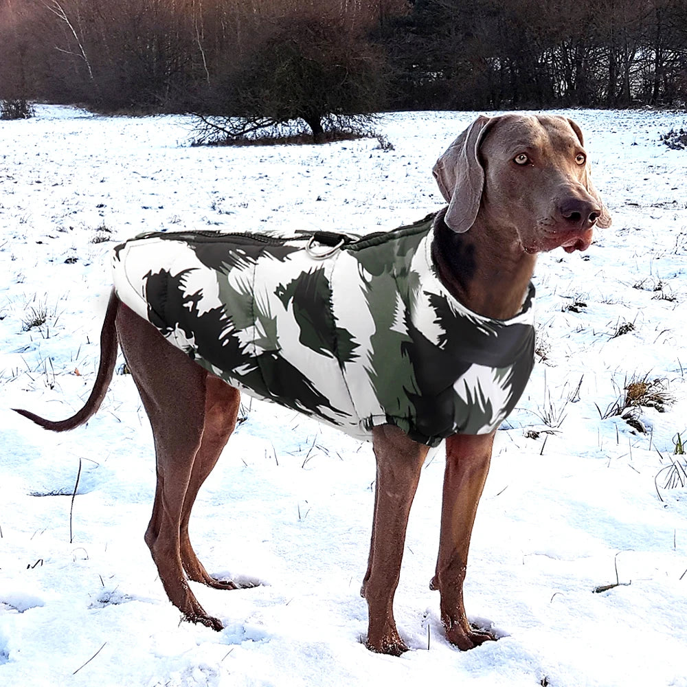 Waterproof Winter Dog Jacket
