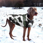 Waterproof Winter Dog Jacket