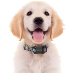 Smart Bluetooth GPS Activity Tracker for Pets, Kids & Bags