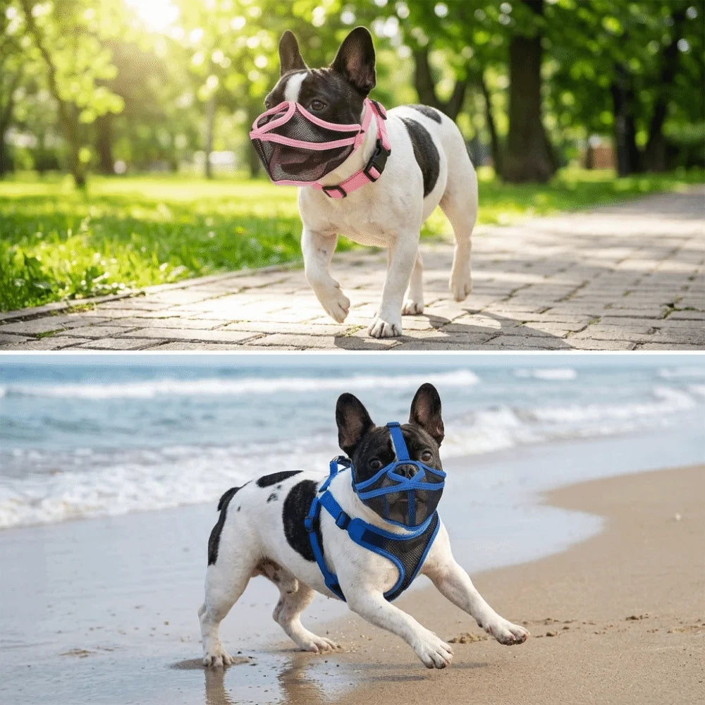 Short Snout Dog Muzzle (Breathable, Lightweight, Adjustable Fit)