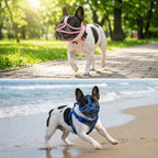 Short Snout Dog Muzzle (Breathable, Lightweight, Adjustable Fit)
