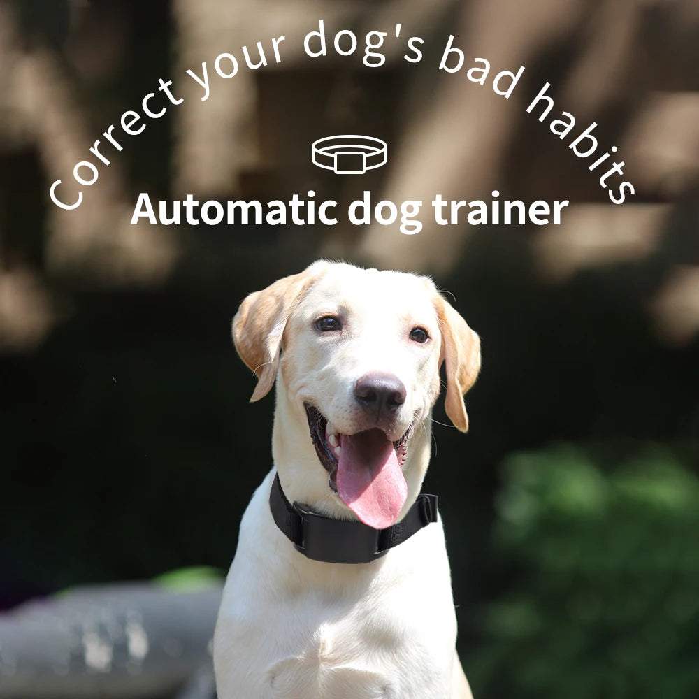 Automatic Anti-Bark Training Collar