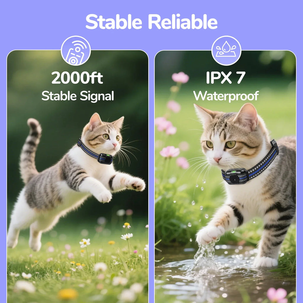 Ultra-Small Cat Training Collar — Waterproof, Rechargeable, 2000ft Remote