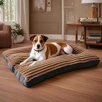 Corduroy Orthopedic Dog Bed for Large Dogs