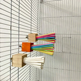 Rainbow Wooden Chew Stick — Perch Toy for Parrots