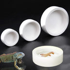 Anti-Escape Ceramic Reptile Feeder Bowl — Worm-Proof Design for Geckos & Snakes