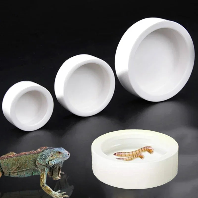 Anti-Escape Ceramic Reptile Feeder Bowl — Worm-Proof Design for Geckos & Snakes