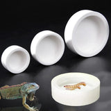 Anti-Escape Ceramic Feeder Bowl for Reptiles — Food & Water Dish, 3 Sizes