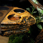 Magnetic Reptile Feeding Dish — Wall-Mount Food & Water Bowl for Geckos & Lizards