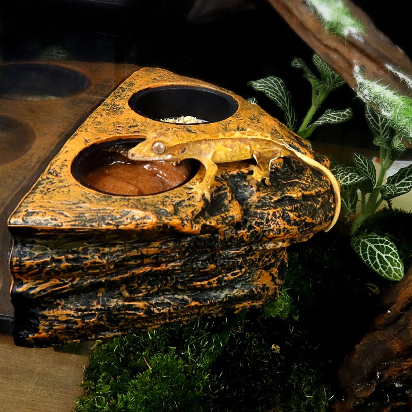 Magnetic Reptile Feeding Dish — Wall-Mount Food & Water Bowl for Geckos & Lizards