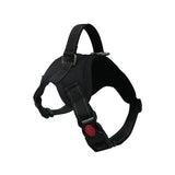 Adjustable Dog Harness & 150cm Leash Set — Reflective Design