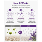 Pet Urine Odor Remover Spray — Fast-Drying, No-Residue Stain & Smell Eliminator