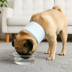Soft Mesh Pet Recovery Collar (Breathable, Anti-Lick, XS to XXL)