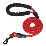 Adjustable Dog Harness & 150cm Leash Set — Reflective Design