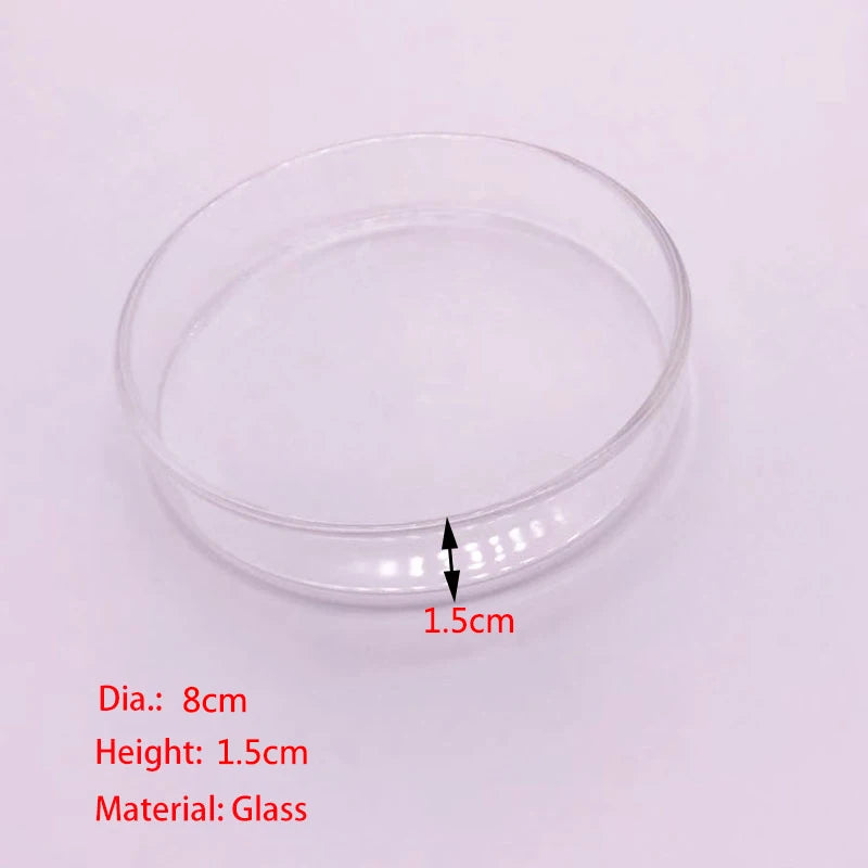 Glass Aquarium Shrimp Feeder Bowl & Tube (Transparent, Food Dish)