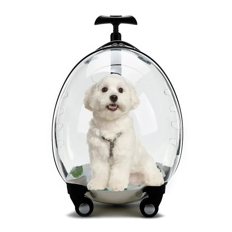 Transparent Large Capacity Handheld Pet Carrier & Portable Travel Cart for Cats & Dogs