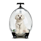 Transparent Large Capacity Handheld Pet Carrier & Portable Travel Cart for Cats & Dogs