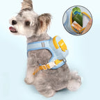 Plaid Dog Leash and Harness Set with Storage Bag (Detachable, Hiking)