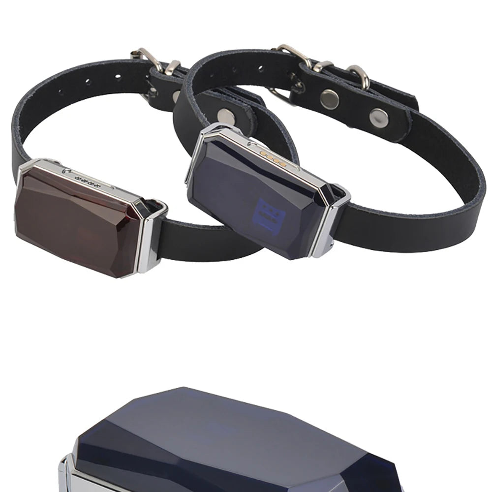 G12 GPS Smart Pet Locator Collar for Dogs & Cats - Universal Waterproof Positioning Tracker