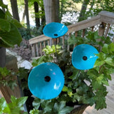 Hummingbird & Butterfly Nectar Feeder — Hanging Drinking Station