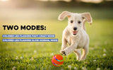 Interactive Smart Pet Ball