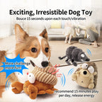 Dancing Interactive Dog Toy
