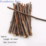 Apple Wood Molar Sticks — Natural Chew Toys for Small Pets