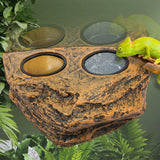 Magnetic Reptile Feeder Ledge Set — Elevated Dish with 4 Bowls