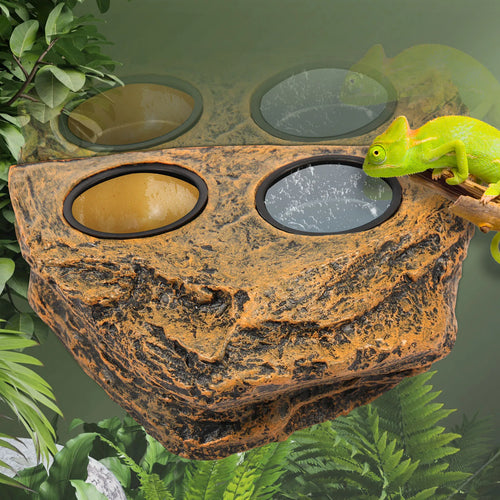 Magnetic Reptile Feeder Ledge Set — Elevated Dish with 4 Bowls