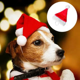 Christmas Santa Hat Cosplay Costume 50-Pack (Pet Ornament)