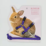 Soft Rabbit Harness & Leash Set — Adjustable Traction Rope with Bell