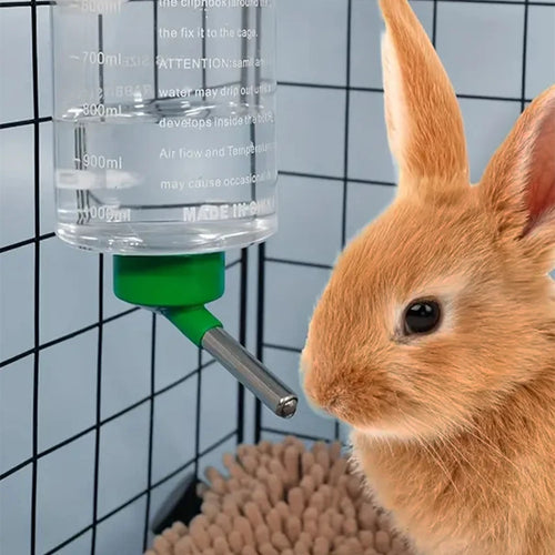 1000ml Hanging Water Bottle — Auto-Drip Drinker for Rabbits & Guinea Pigs