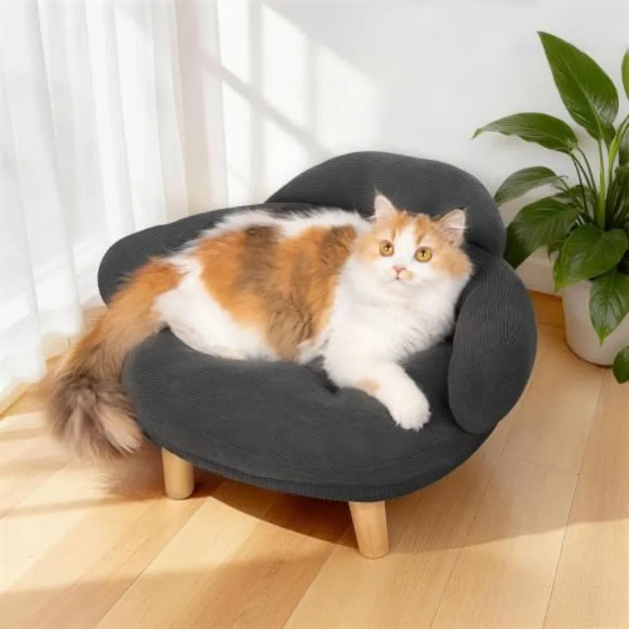 Cat Sofa Bed with Removable Velvet Cover & Pine Wood Legs