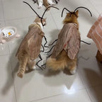 DIY Cat Cockroach Cosplay Dress-Up Kit — Creative Indoor Cat Toy Accessory Set