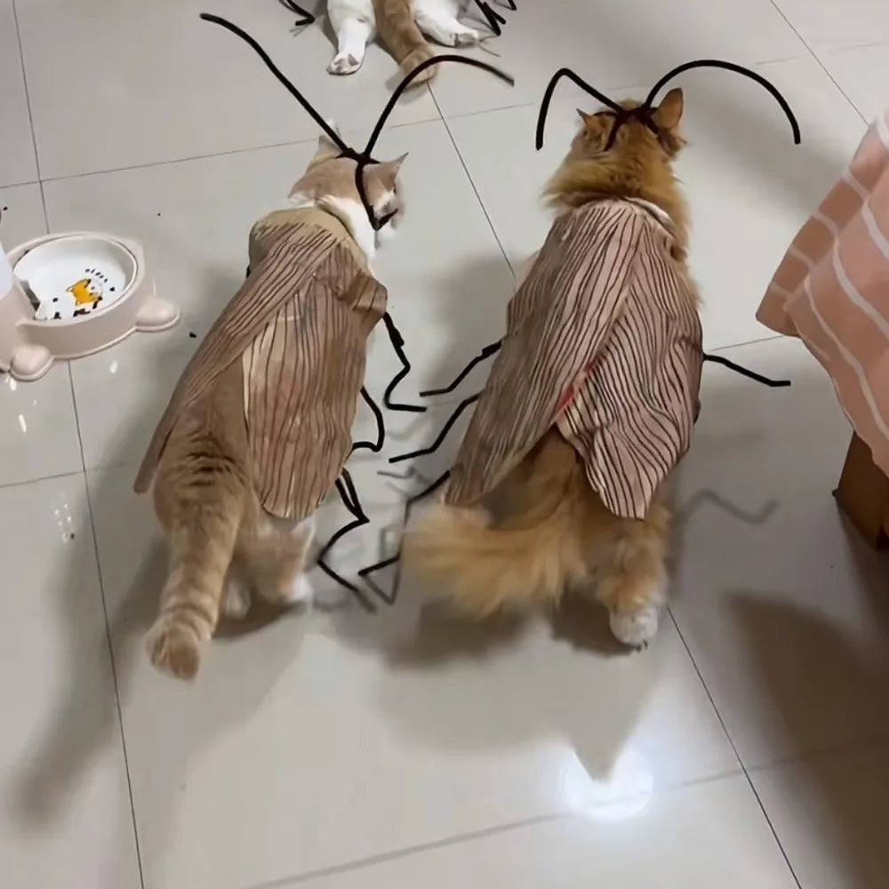 DIY Cat Cockroach Cosplay Dress-Up Kit — Creative Indoor Cat Toy Accessory Set