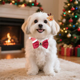 Leather Christmas Bowtie 30-Pack (Exquisite Small Pet Style)